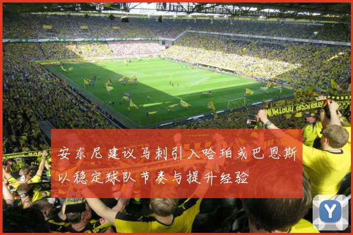 安东尼建议马刺引入哈珀或巴恩斯以稳定球队节奏与提升经验