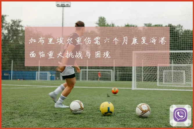 加布里埃尔重伤需六个月康复海港面临重大挑战与困境